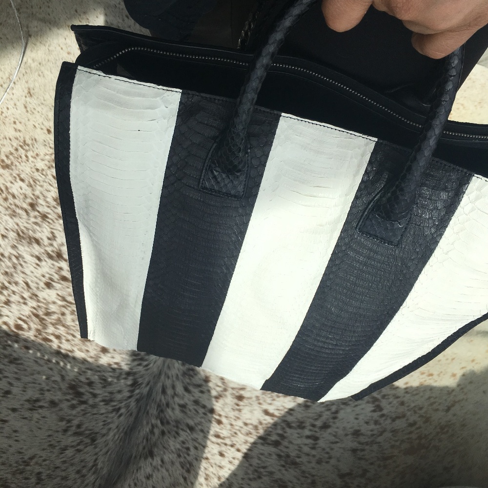 Hayward striped python handbag